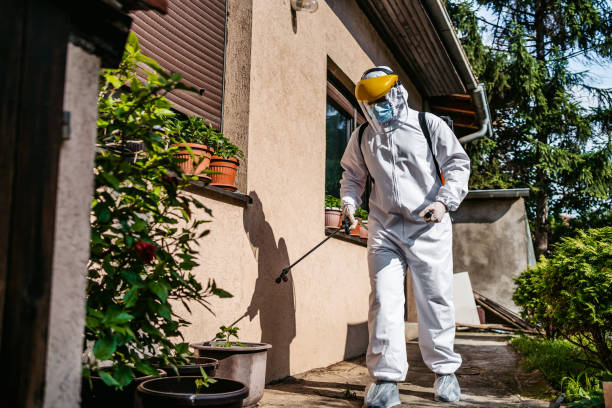 Reliable Springdale, SC Pest Control Solutions